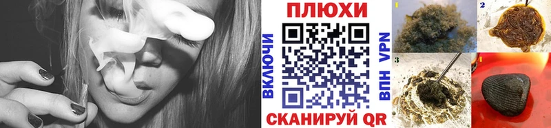 где продают   блэк спрут ссылки  ГАШИШ Изолятор  Зеленоградск 