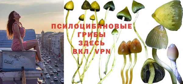 меф Алексеевка